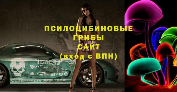 экстази Пересвет